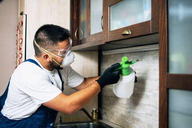 Best Termite Control Services  in Fairfield Beach, OH