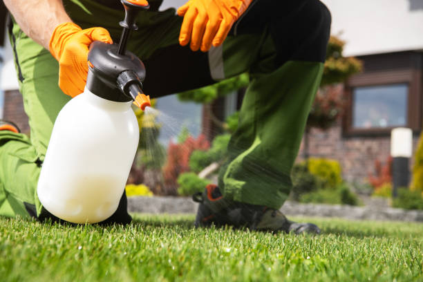 Best Best Pest Control Companies  in Fairfield Beach, OH