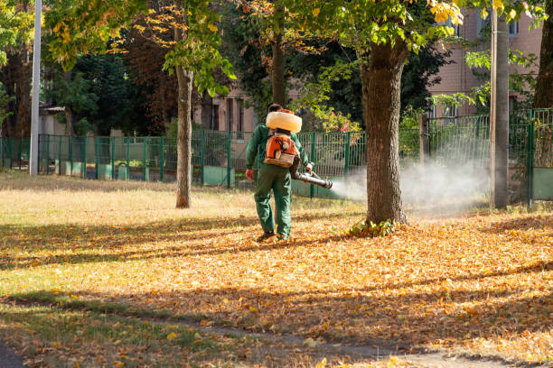 Best Cockroach Control Services  in Fairfield Beach, OH