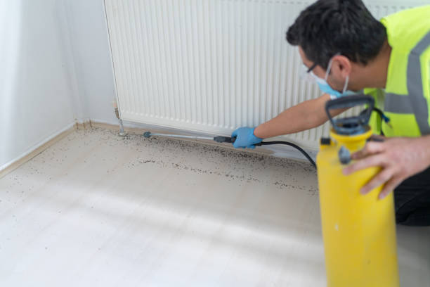 Trusted Fairfield Beach, OH Pest Control Experts
